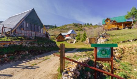 Ruralni turizam u Crnoj Gori: neiskorišćena šansa ili politika odsustva podrške?