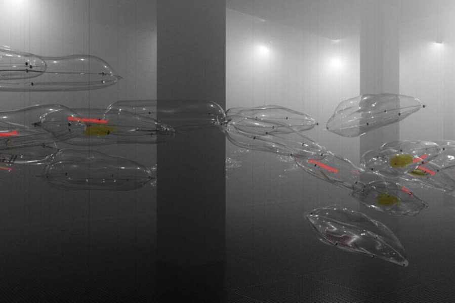 Paviljon Crne Gore na Bijenalu arhitekture u Veneciji oduševljava posjetioce i stručnu javnost