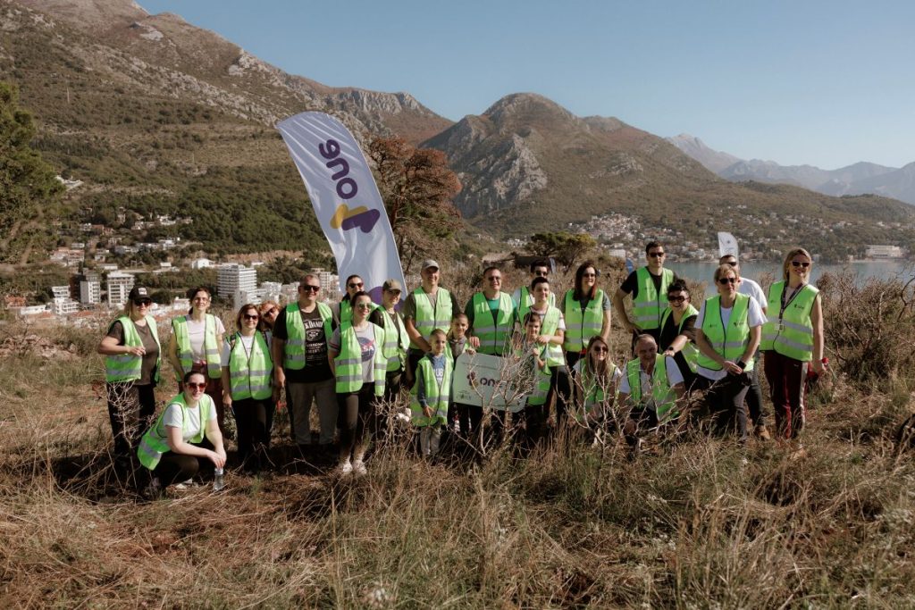 Boranka: Pošumljeno više od 10.000 sadnica crnog bora na Golom brdu kod Sutomora