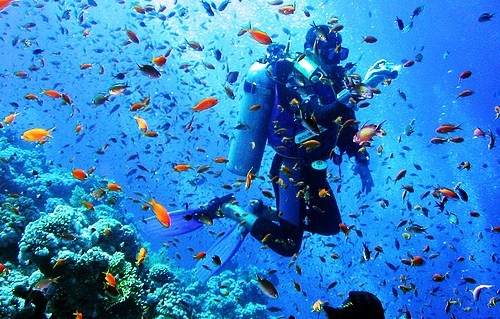 Tragedija na Maldivima: Suspendovana dozvola brodu zbog pogibije pet italijanskih ronilaca