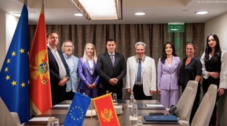 Suljević i Savjet Evrope: Civilno društvo kao test demokratske zrelosti Crne Gore