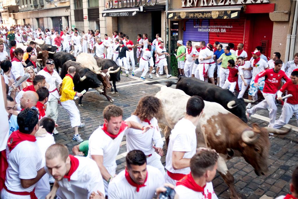 U Pamploni počeo festival San Fermin: Devet dana trke s bikovima i bogatog programa