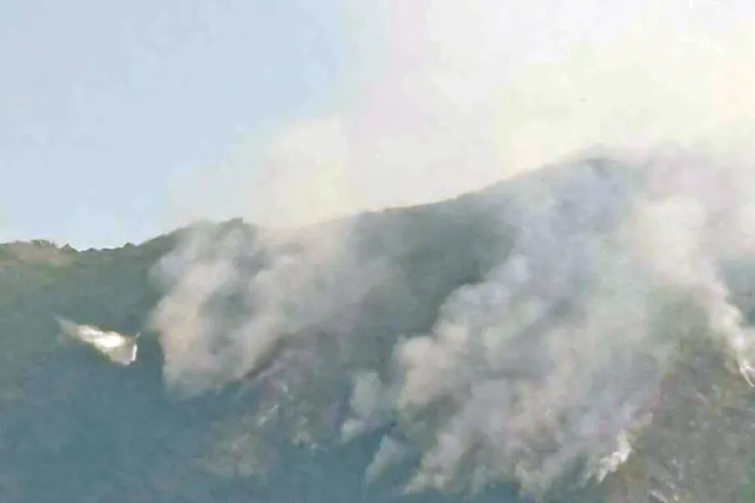 Veliki požar na Korčuli zahvatio borovu šumu: Vatrogasci očekuju dugu i tešku noć