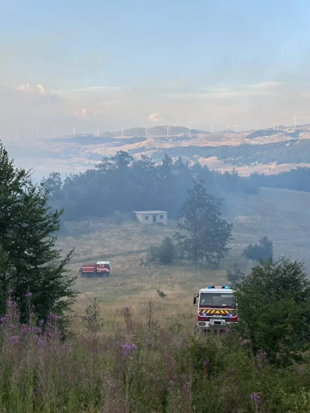 Jak vjetar otežava gašenje velikog šumskog požara kod Nikšića, vatrogascima podrška iz vazduha
