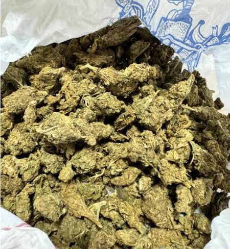 Pojačane policijske kontrole u Ulcinju: Uhapšene 23 osobe, zaplijenjena droga i podnijeto 37 prekršajnih prijava