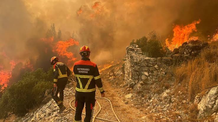 Vatrena stihija na Hvaru: Požar u Ivan Dolcu stavljen pod kontrolu uz angažovanje kanadera