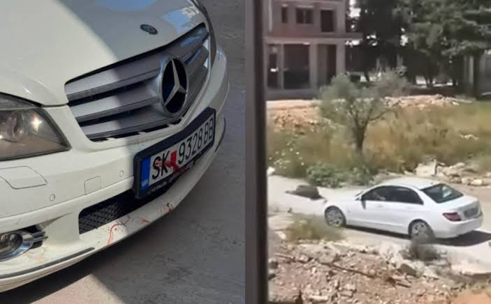 Državljanka Sjeverne Makedonije uhapšena nakon što je osumnjičena da je automobilom usmrtila psa