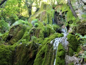 Rast turizma na sjeveru Crne Gore: Sve više posjetilaca i jačanje planinske ponude