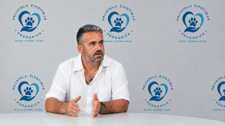 Vlahović traži hitnu reakciju zbog najave eutanazije pasa u bjelopoljskom azilu: „Skloništa nijesu mjesta za ubijanje“