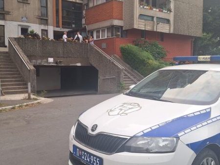 Sin osumnjičen da je tukao majku do smrti u stanu na Novom Beogradu