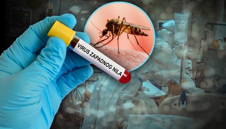 Virus Zapadnog Nila u Sjevernoj Makedoniji: Pet osoba preminulo, 43 zaražene