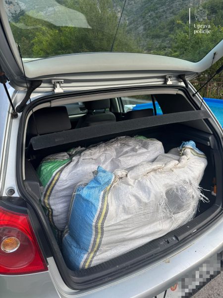 U Tuzi zaplijenjeno oko 38 kilograma marihuane: Uhapšen muškarac (37)