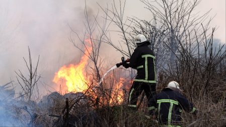 Požar izbio u Baošićima, angažovani vatrogasci i dva aviona