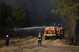 Požar se ne gasi tek kada bukne: Crnoj Gori treba sistem ranog upozorenja i zaštitni pojasevi oko naselja