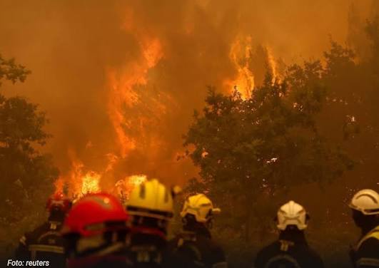 I bačeni opušak može vas poslati u zatvor: Francuska hapsi zbog požara, izgorjelo više od 300.000 hektara