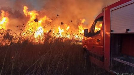 Vatra mijenja pravila: Klimatske promjene ne pale šume, ali stvaraju uslove za sve opasnije požare