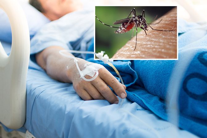 Virus Zapadnog Nila aktivan u Hrvatskoj: Sedam zaraženih, dvoje pacijenata na respiratoru