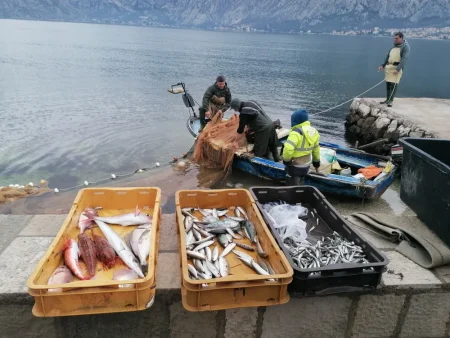 RIBARSTVO IZMEĐU BRISELA I CRNOGORSKE OBALE