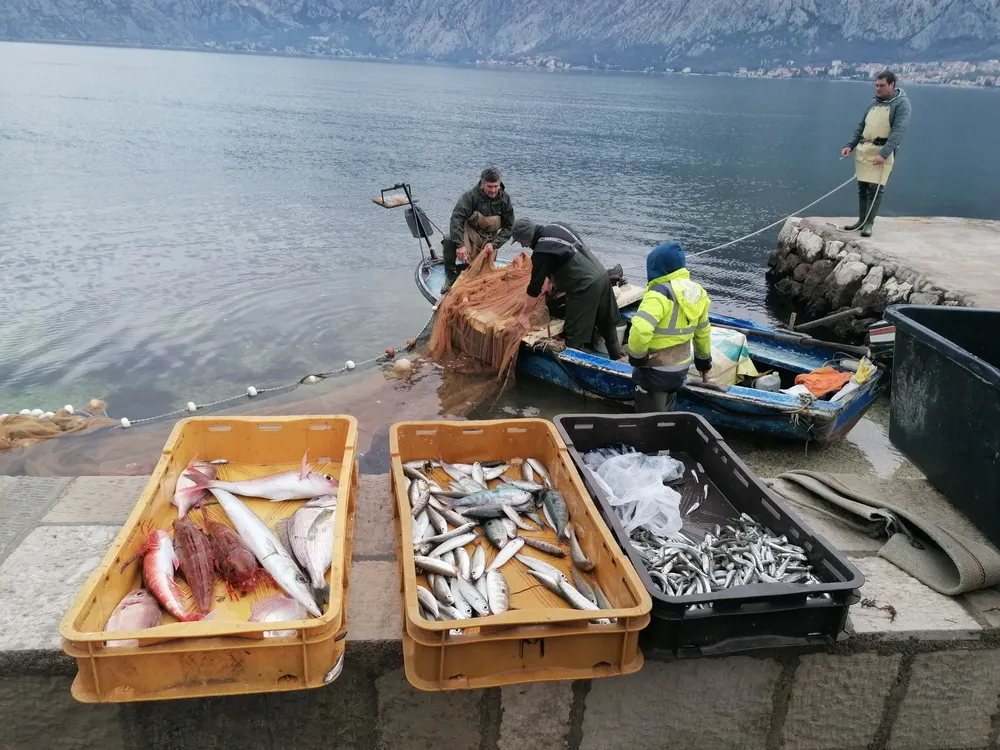 RIBARSTVO IZMEĐU BRISELA I CRNOGORSKE OBALE